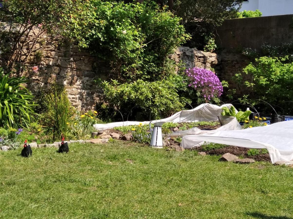 Grande Terrasse Arboree Brest